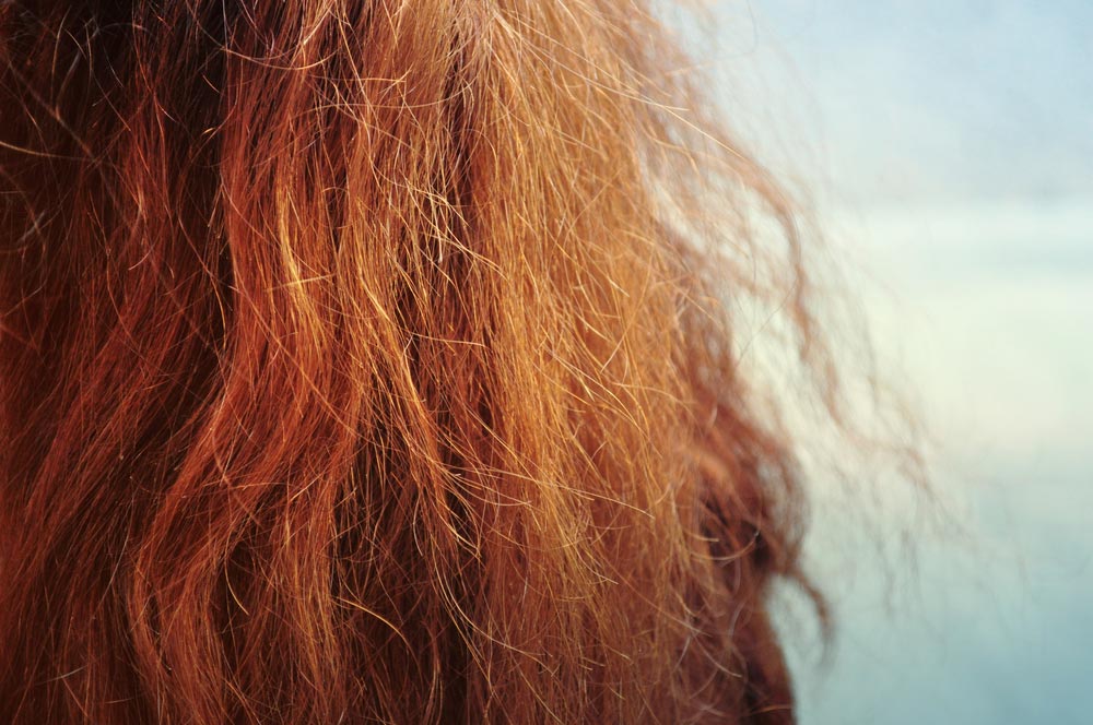 You are currently viewing How To Get Rid Of Frizzy Hair